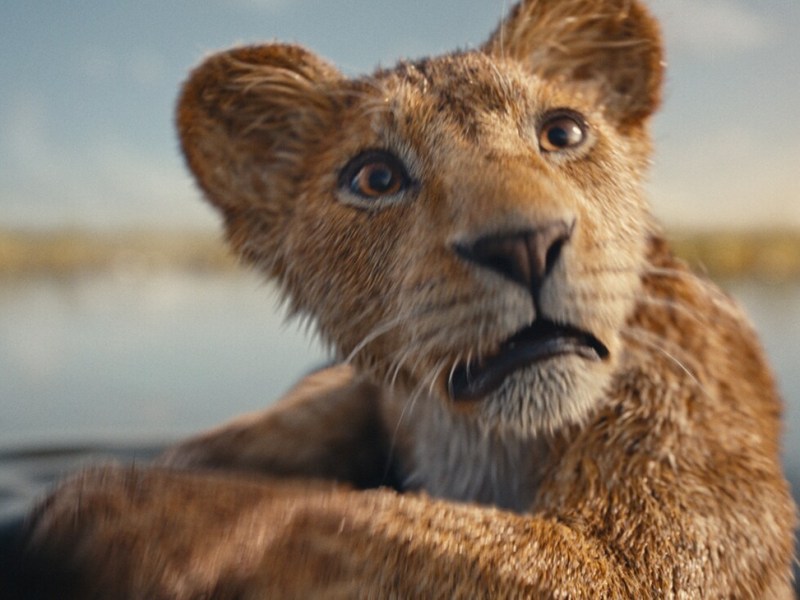 A CGI photo of a lion.