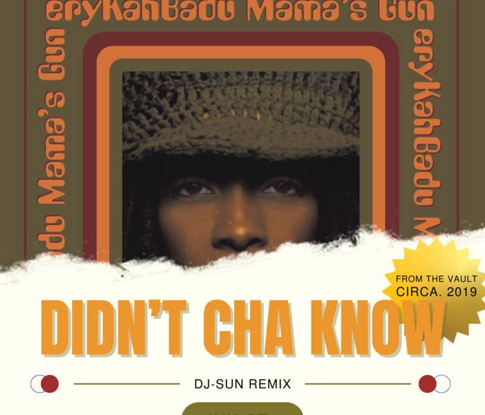 Album cover of a remixed single. Bold text states "Didn't Cha Know" and the central figure is a woman with brown skin