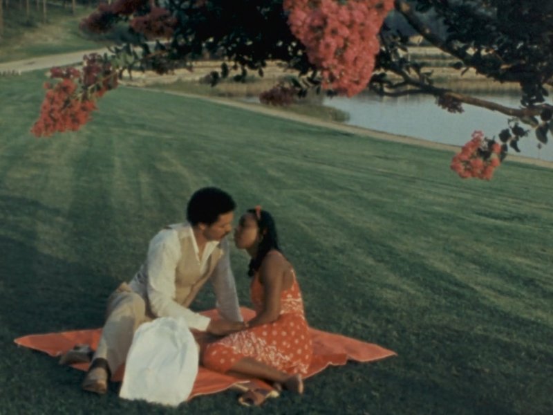 A couple kisses while sitting on an orange blanket on a green grassy field.