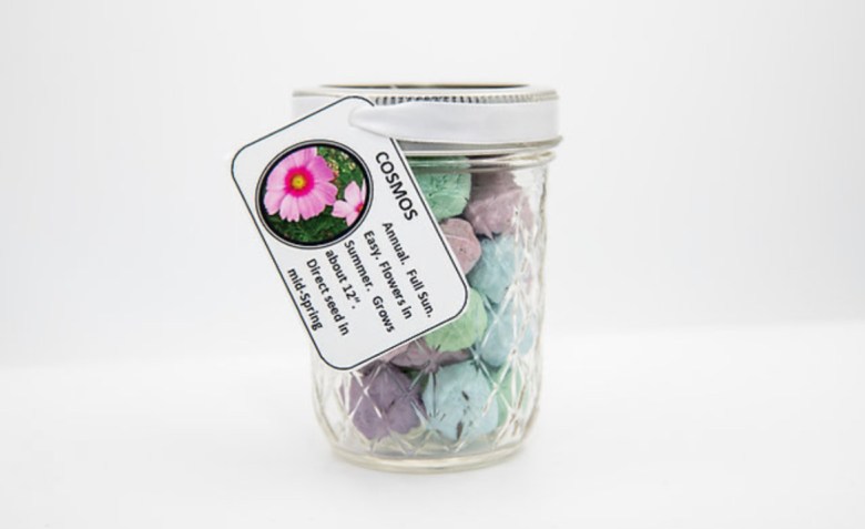 A color photograph of a jar of seed bombs.