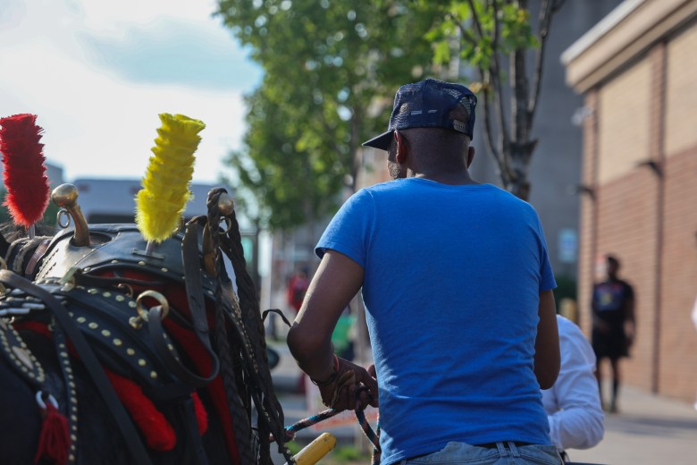 A photo of a man wearing a blue t-shirt next to a horse.
