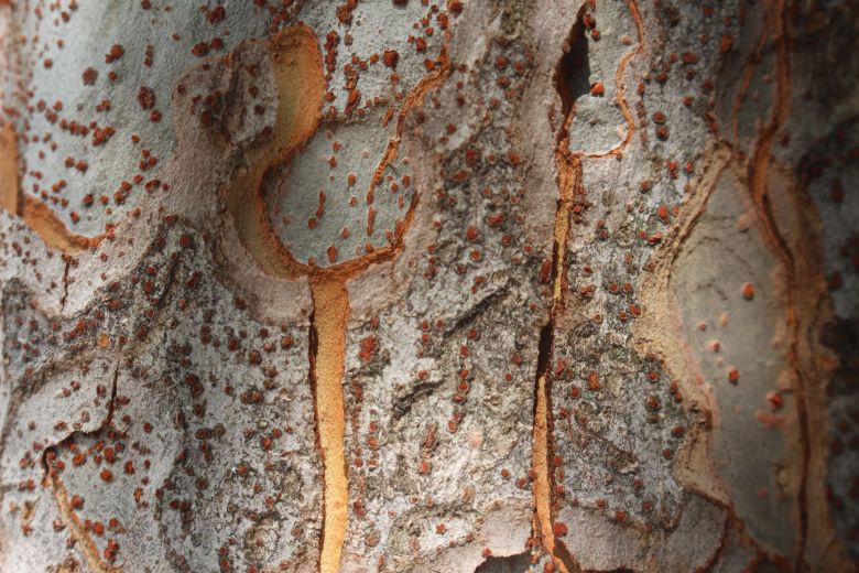 Abstract photo