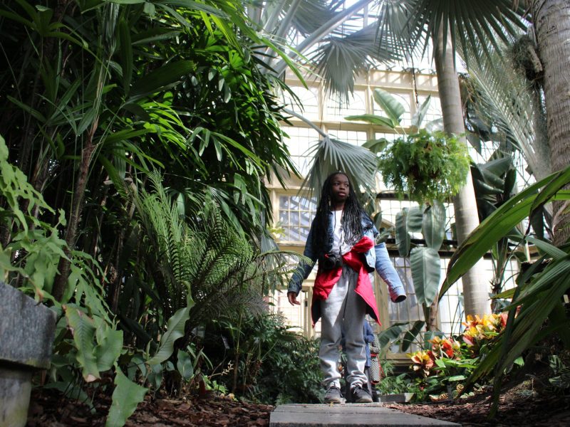 A child walks through a path surrounded by trees and plants at the Howard Peters Rawlings Conservatory.