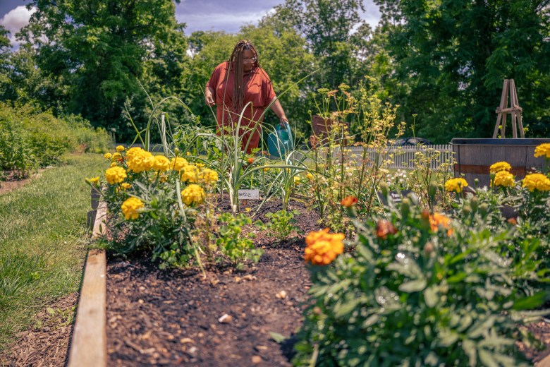 Descendent communicator Hess Stinson pours some love into the kitchen garden in the Catoctin Furnace Ironworking village.