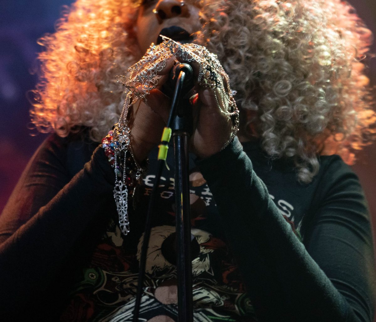 A person stands at a microphone and performs at a rap concert.