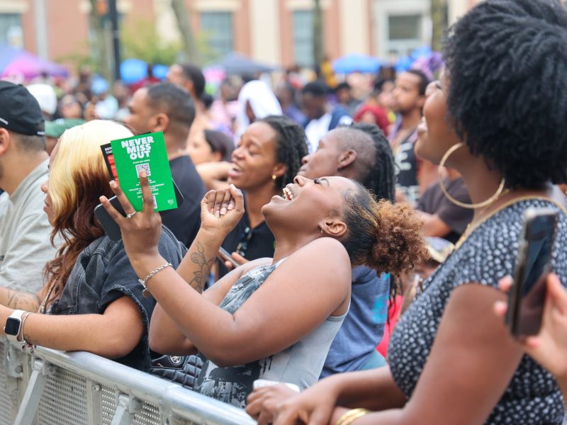 People in the crowd react to a concert.